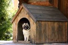 ¿Qué medidas debe tener una casa para perro grande?