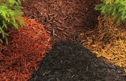 ¿Qué es mulch para jardín?