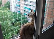 puertas para gatos en ventanas