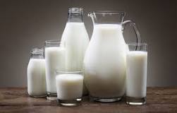 ¿Cuál es la mejor leche baja en grasa?