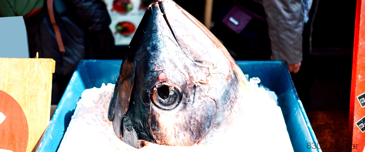 ¿Cuánto cuesta un kilo de pescado en España?