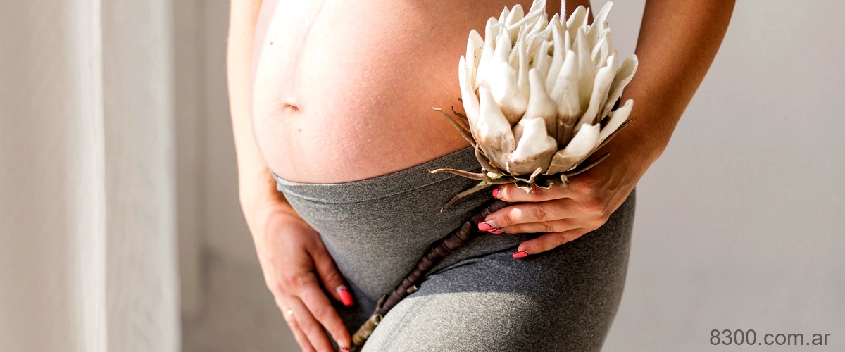 - El embarazo de Andrea Legarreta: una dulce espera llena de felicidad