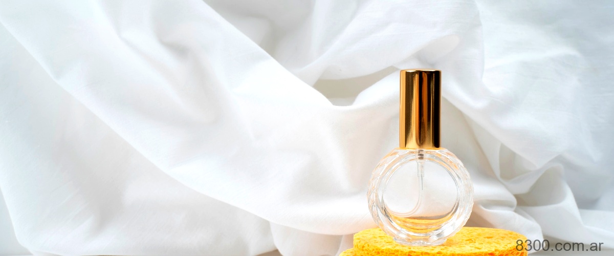 ¿Qué perfumes duran todo el día?