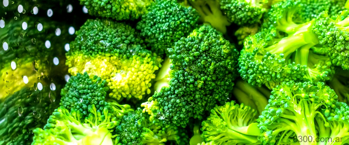 ¿Qué sucede si como ensalada de brócoli todos los días?